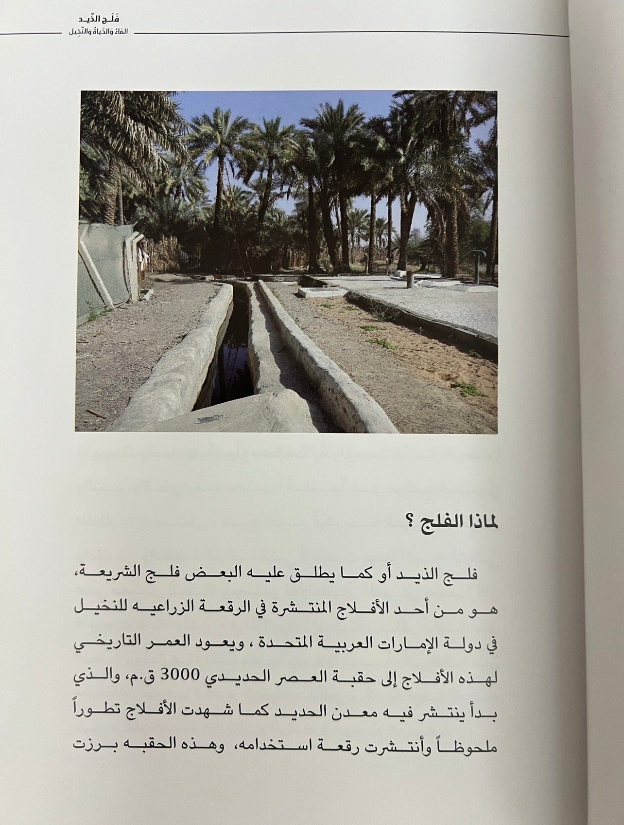 ⁨ فلج الذيد الماء والحياة والنخيل