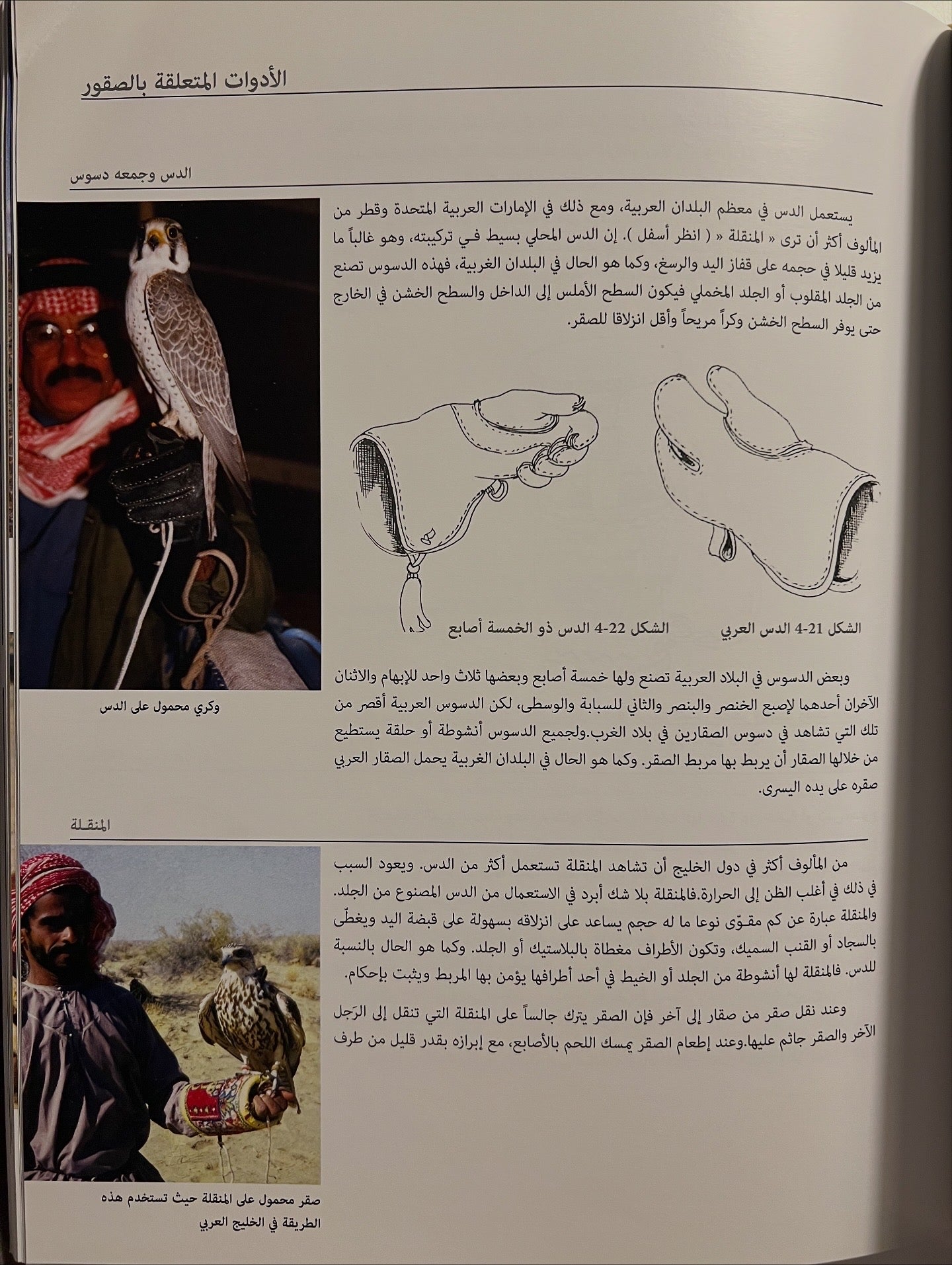 ⁨ رياضة الصيد بالصقور عند العرب : تاريخ لطريقة حياة