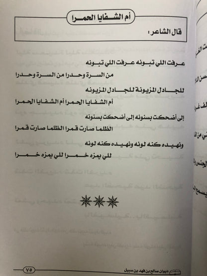 ديوان صالح بن فهد بن سبيل : الجزء الثاني