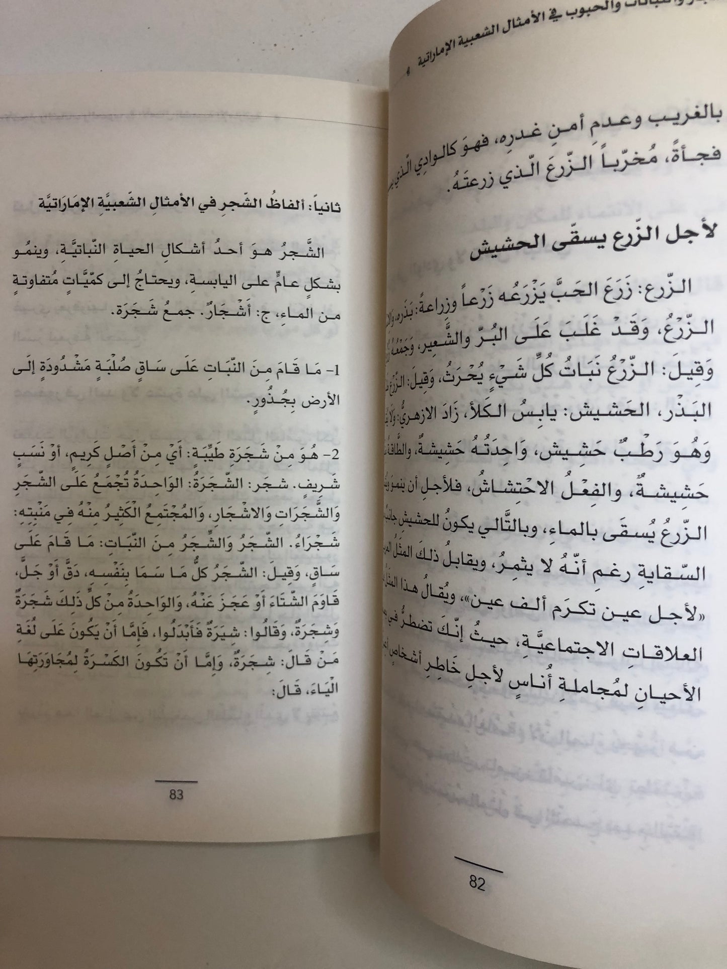 معجم الأشجار والنباتات والحبوب في الأمثال الشعبية الإماراتيه