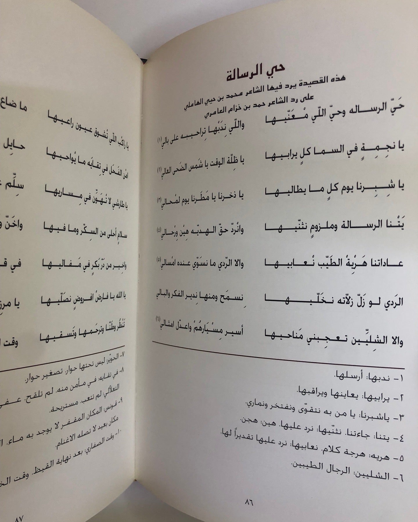 ديوان الأخوين : عمير بن حيي الهاملي ومحمد بن حيي الهاملي - طبعة فاخرة