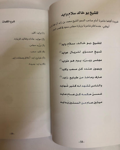 ديوان بن محنا : للشاعر محمد بن محنا بن لويع العامري / ط 2