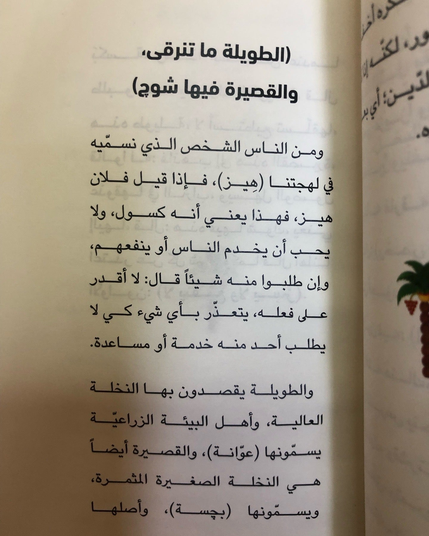 النخلة في الأمثال الشعبية : منتخب من كتاب "رحلة بين سطور الأمثال"