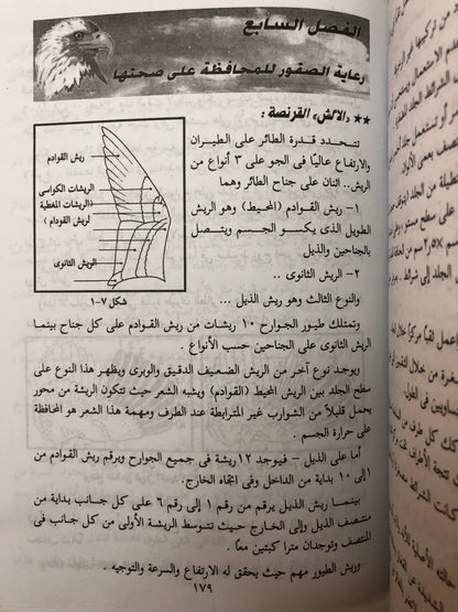 ‎الصقارة وتدريب الصقور وطرق تنفيذ مهمات الصقور