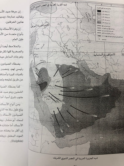 الإمارات والخليج العربي في العصور القديمة : اكتشاف آثار العصر الحديدي