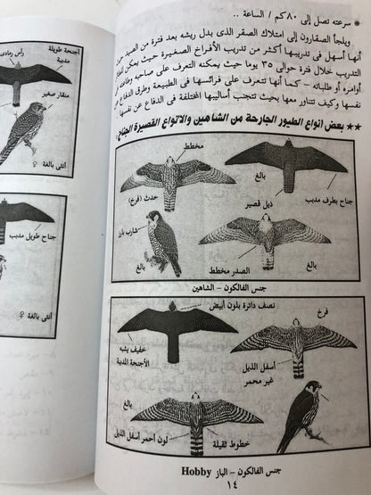 ‎الصقارة وتدريب الصقور وطرق تنفيذ مهمات الصقور