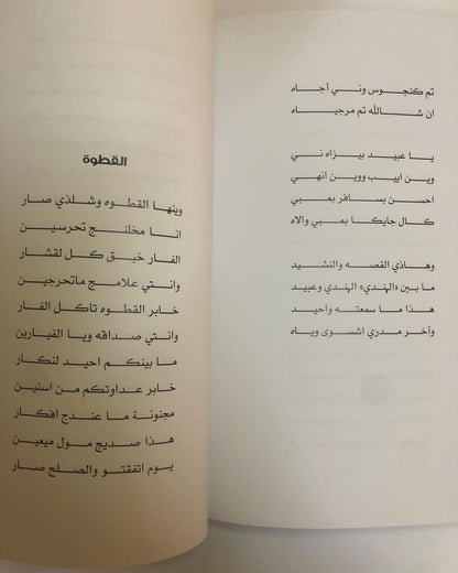 ظل النخلة - سلطان الشاعر : سيرةٌ وحياة على دروب الشعر والفن