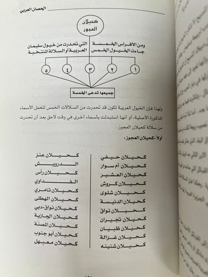 مشاهدات في بوادي العرب