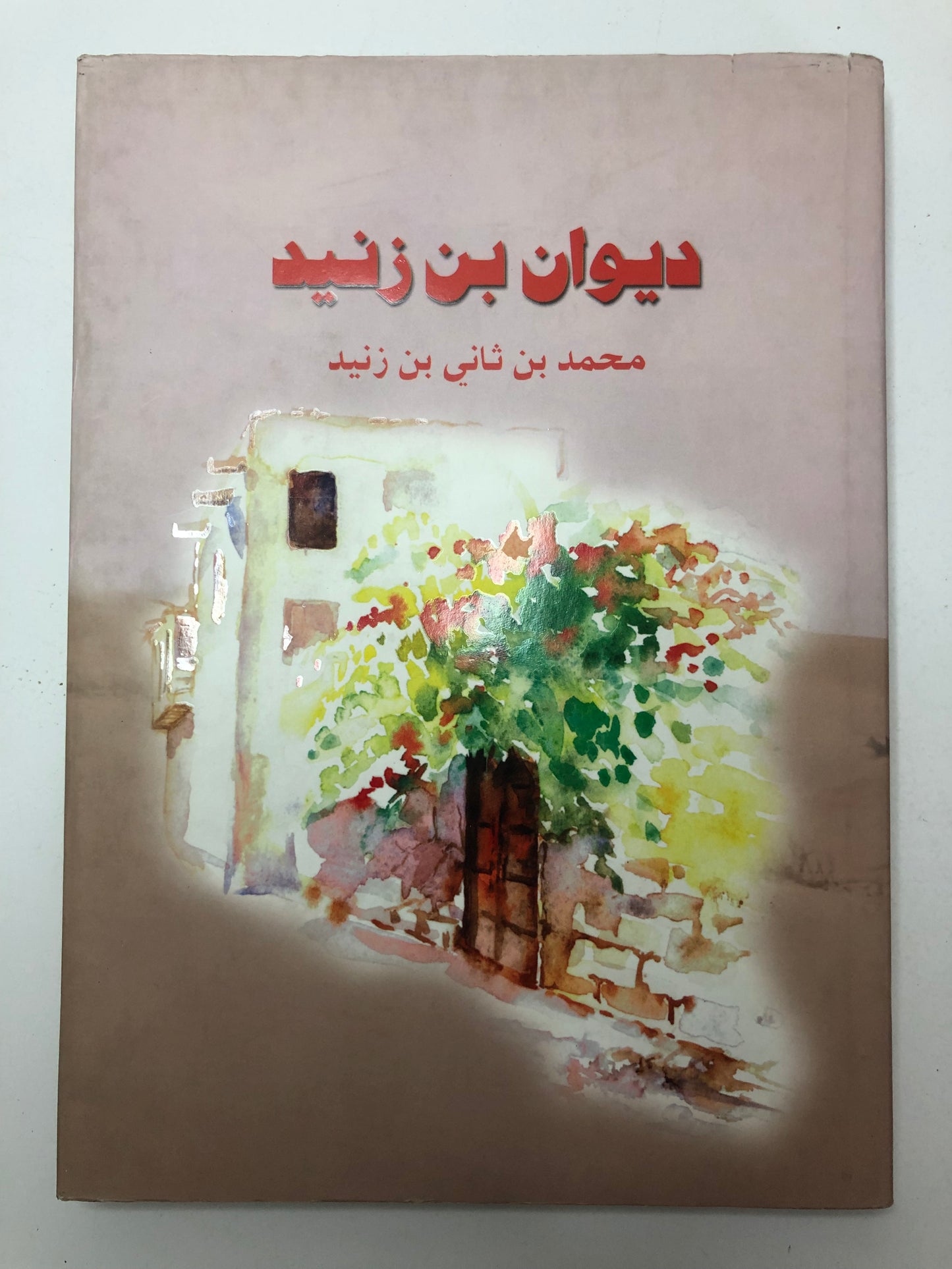 ديوان بن زنيد : الشاعر محمد بن ثاني بن زنيد / طبعة فاخرة