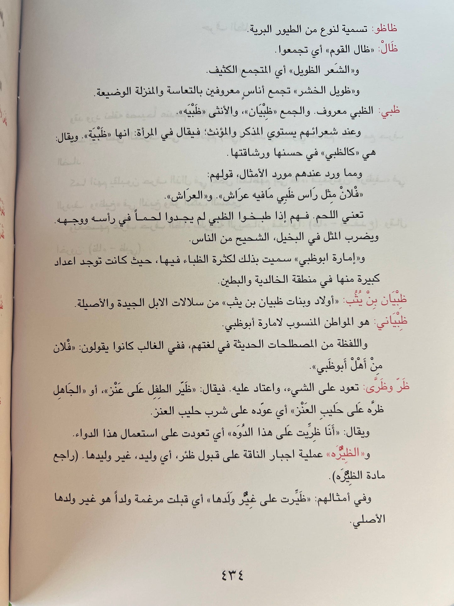 معجم الألفاظ العامية في دولة الإمارات العربية المتحدة