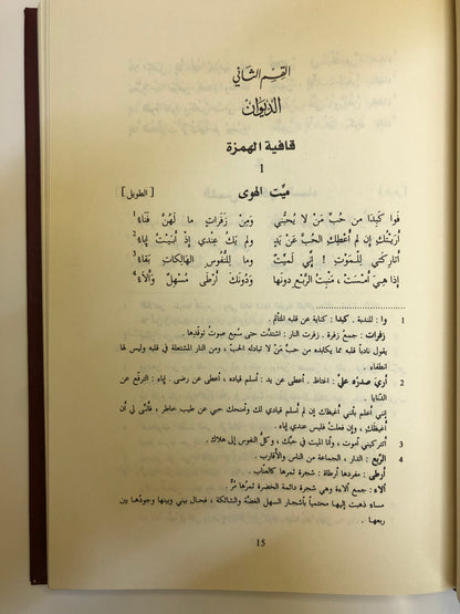 ديوان مجنون ليلى : قيس بن الملوح