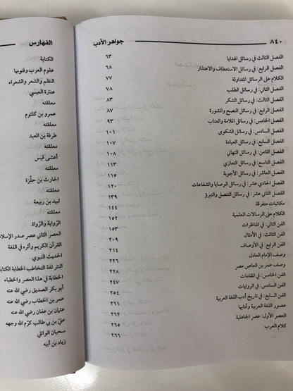 جواهر الأدب في أدبيات وإنشاء لغة العرب : مجلد