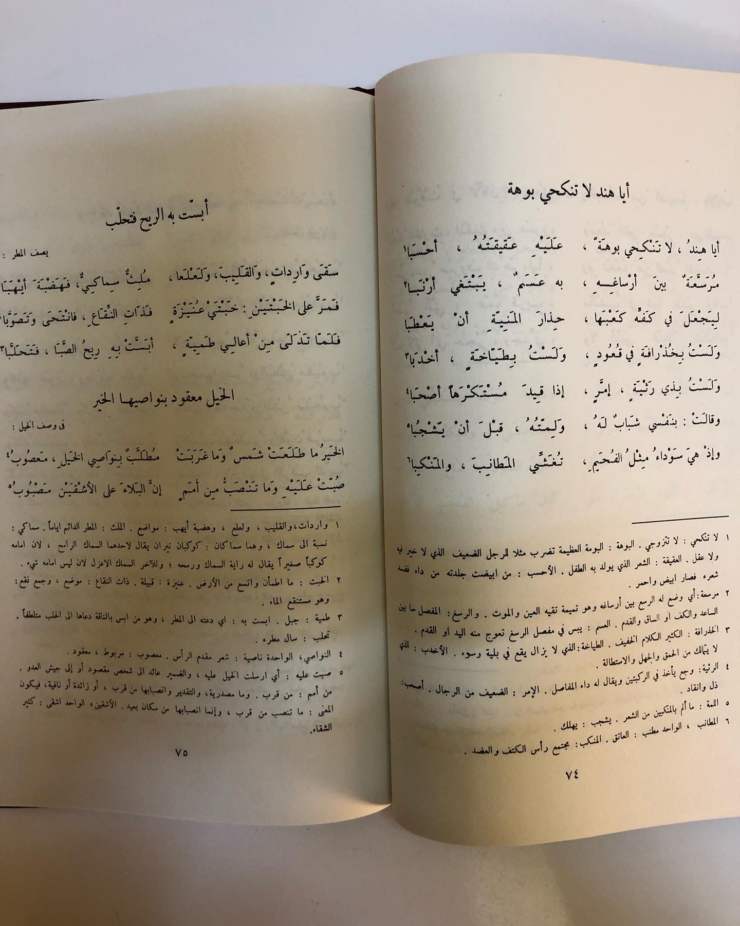 ديوان امرئ القيس (مجلد)