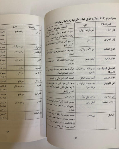 اقتصاديات الإبل : مراجعة للماضي ونظرة للمستقبل