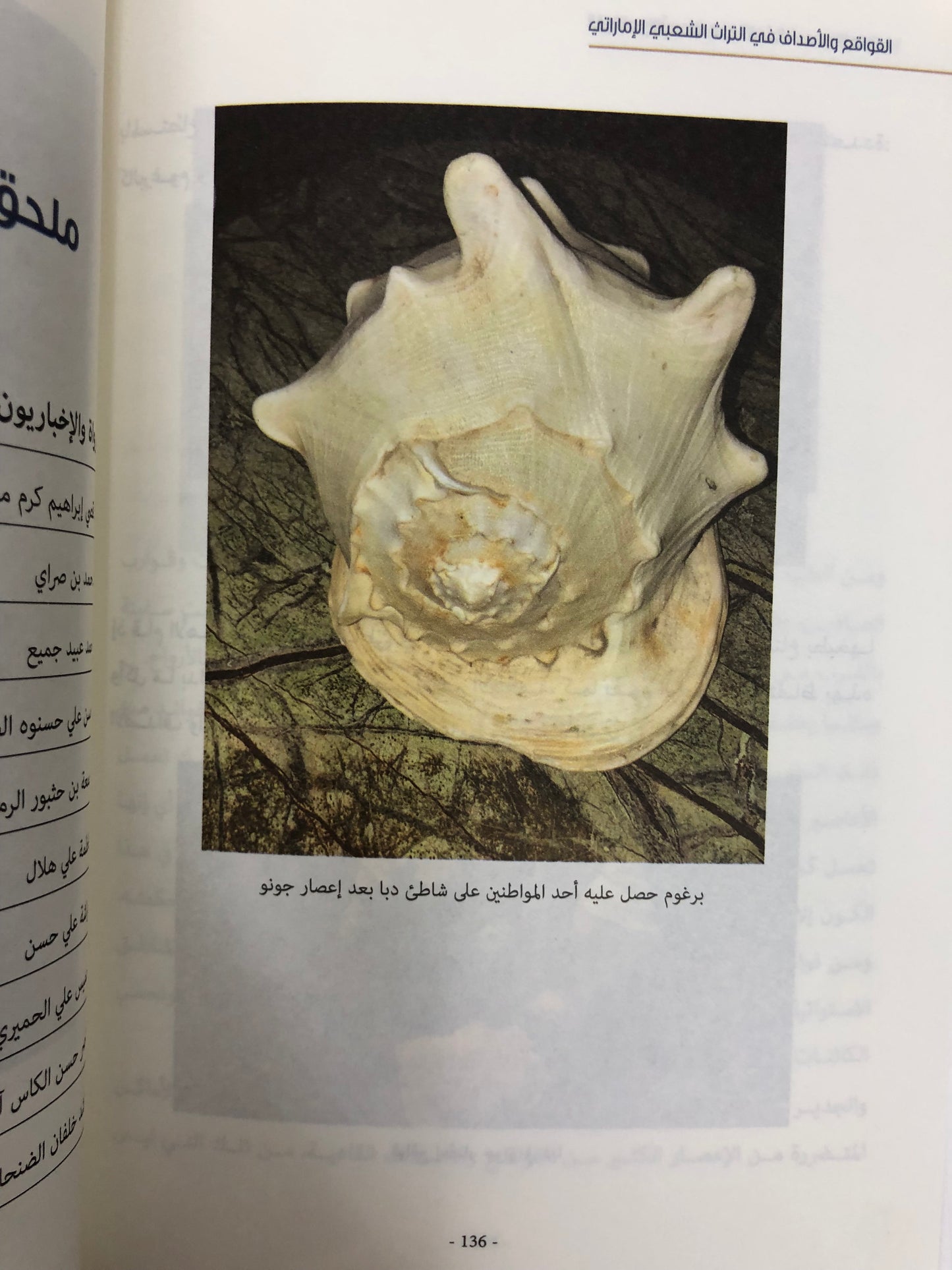 ‎القواقع والأصداف في التراث الشعبي الإماراتي