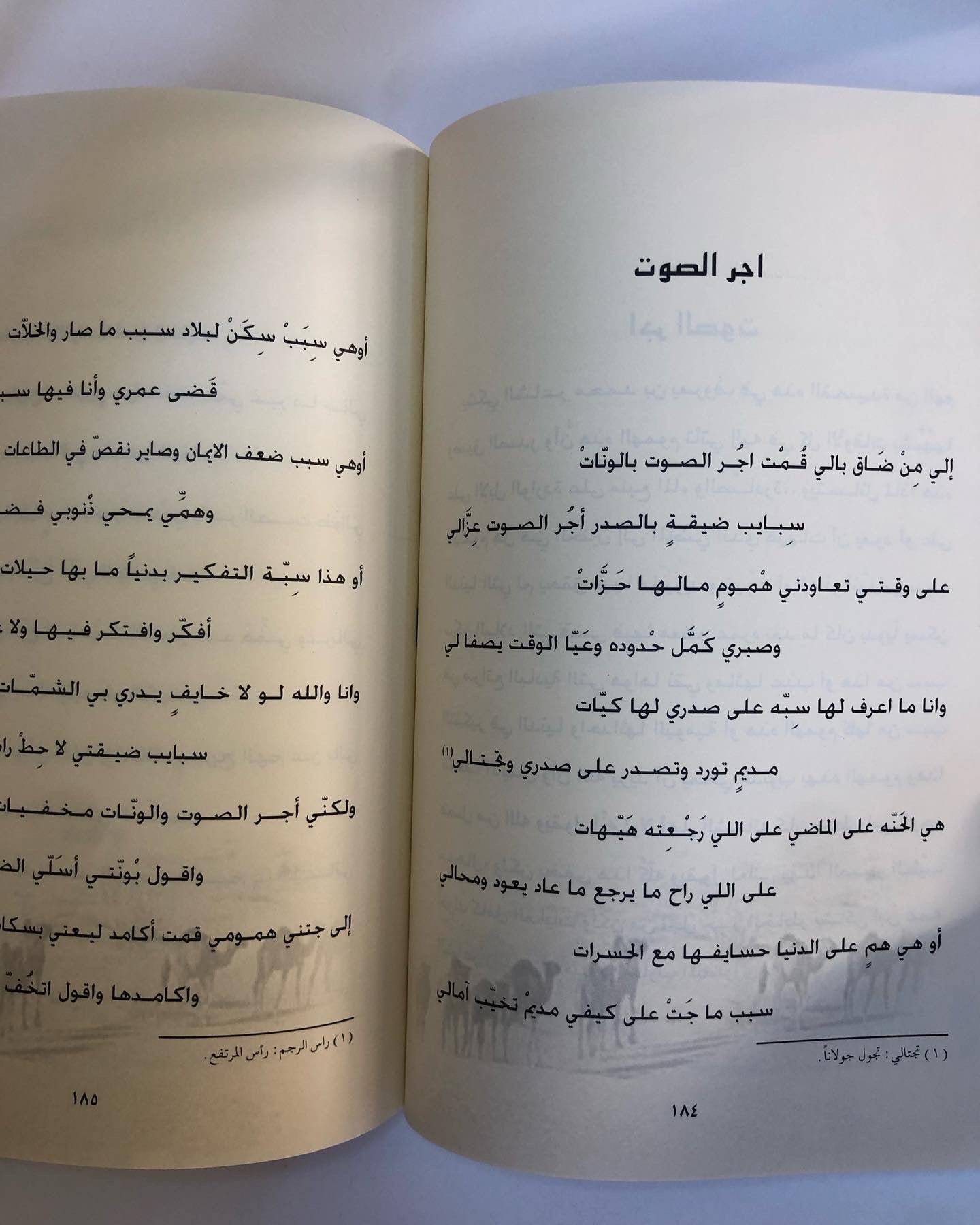 ديوان الخوافي في غريب القوافي الجزء الثاني : للشاعر محمد بن يعروف بن مرشد المنصوري