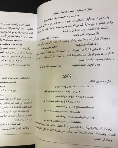 النبطي الفصيح : غوص في لغة الشعر النبطي