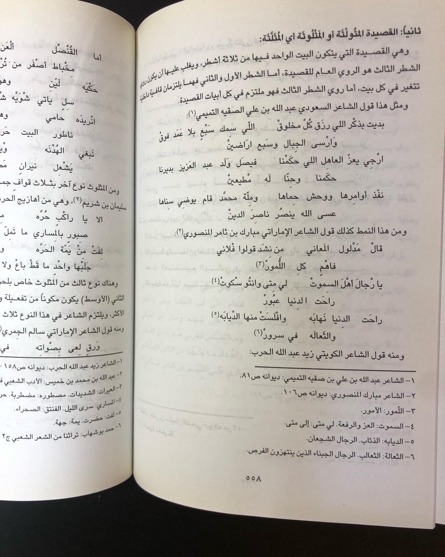 الشعر النبطي : في منطقة الخليج والجزيرة العربية / دراسة علمية ( القسم الأول )