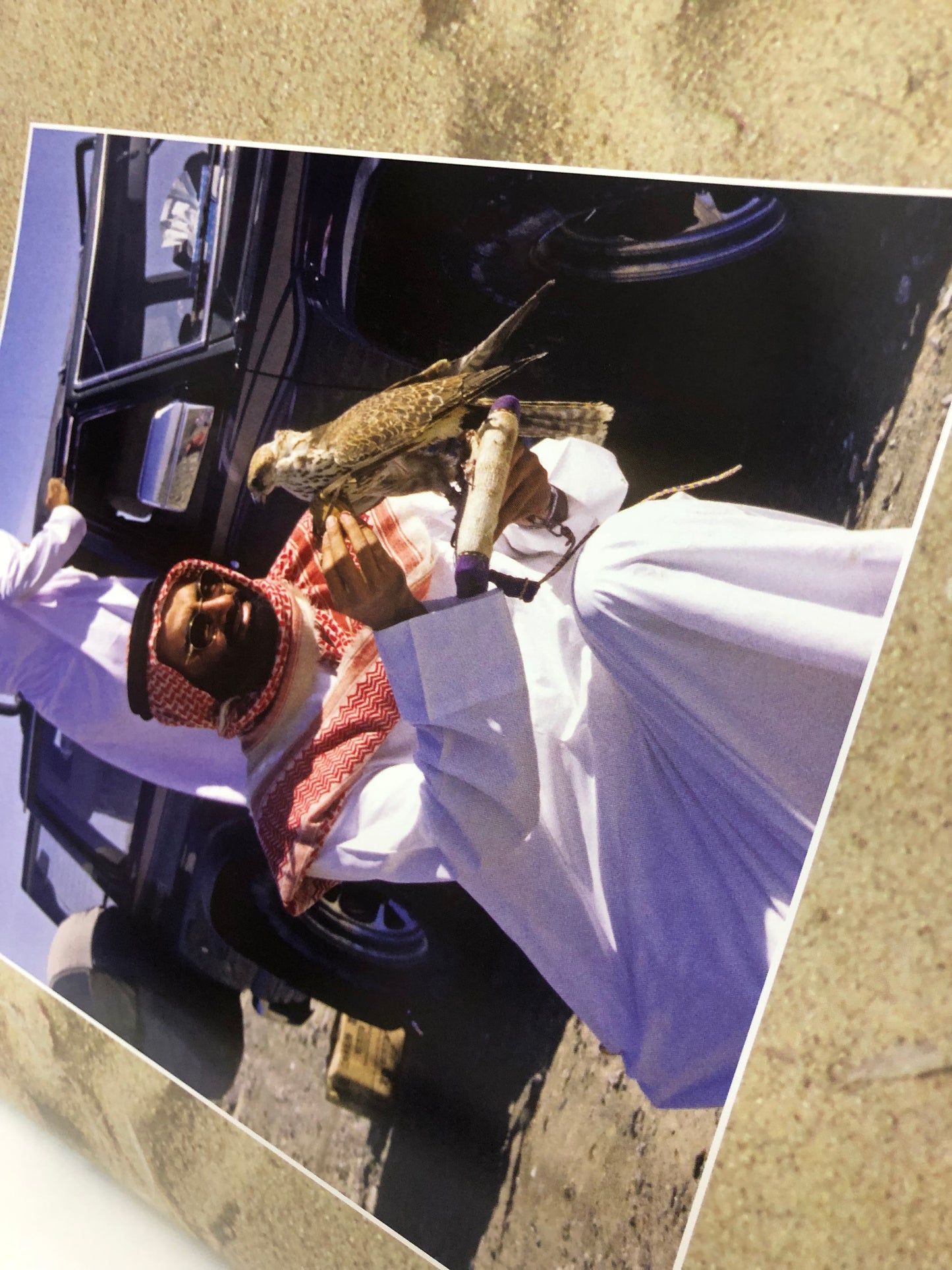 ‎الصقارة احتفاء بتراث حي : طبعة فاخرة