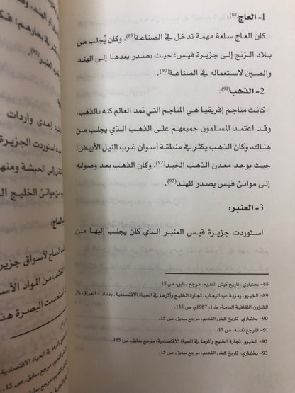 ‎جزيرة قيس : دراسة في الأحوال السياسية والحضارية
