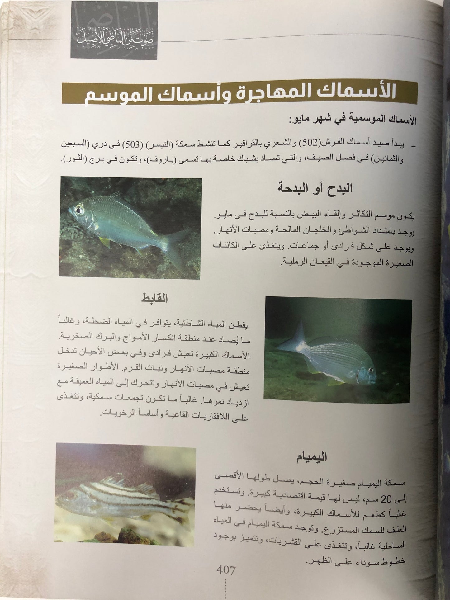 حسابات سهيل وحسابات الدرور : صوت من الماضي الجميل (مجلد)