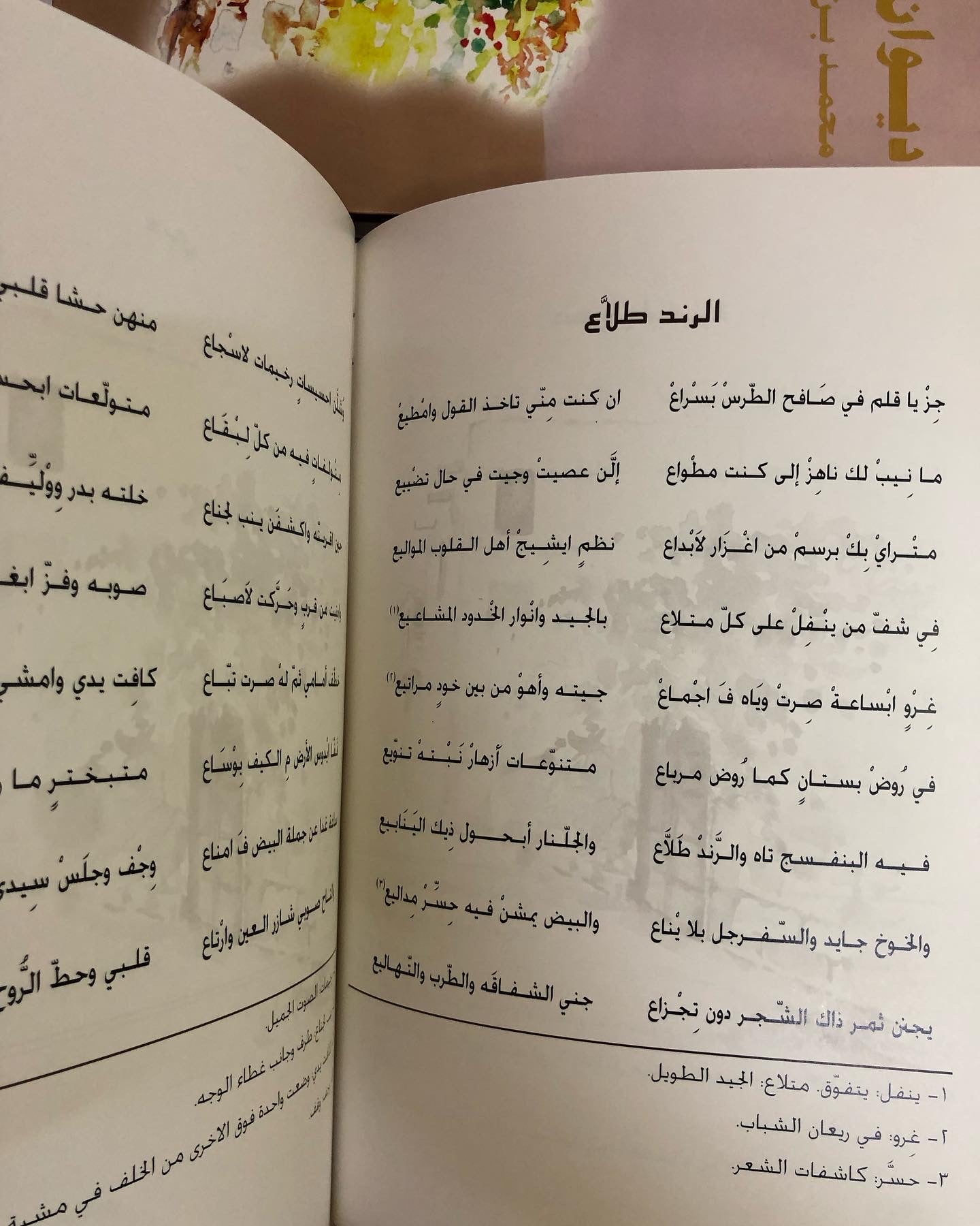 ديوان بن زنيد : محمد بن ثاني بن زنيد 
الطبعة الفاخرة /صندوق حافظ