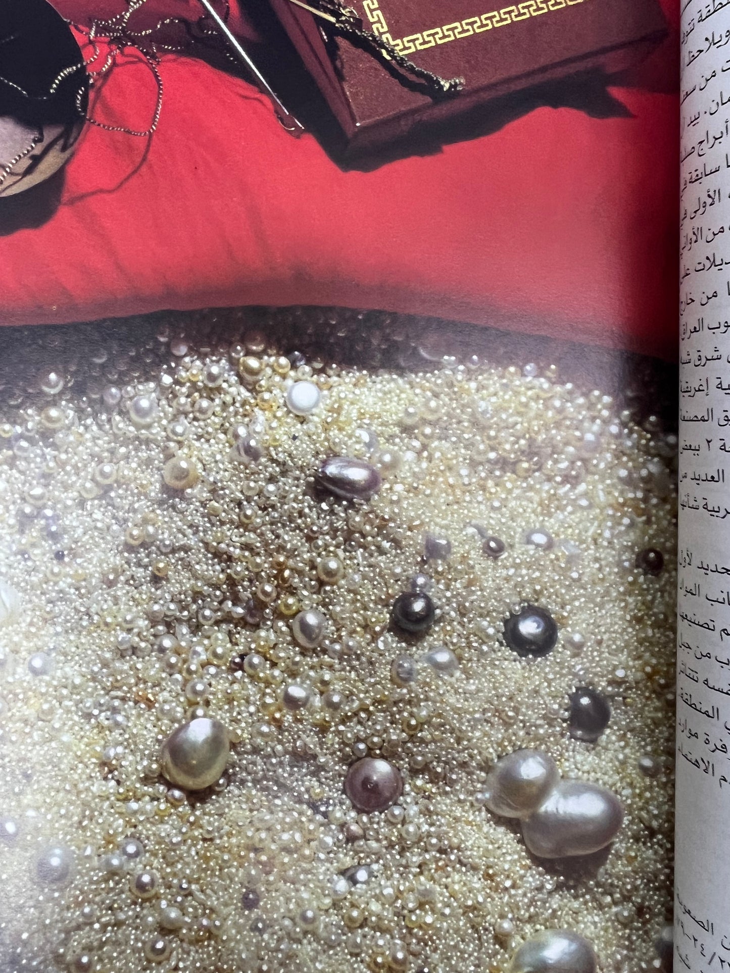 الكتاب السنوي لدولة الإمارات العربية المتحدة ٢٠٠٧