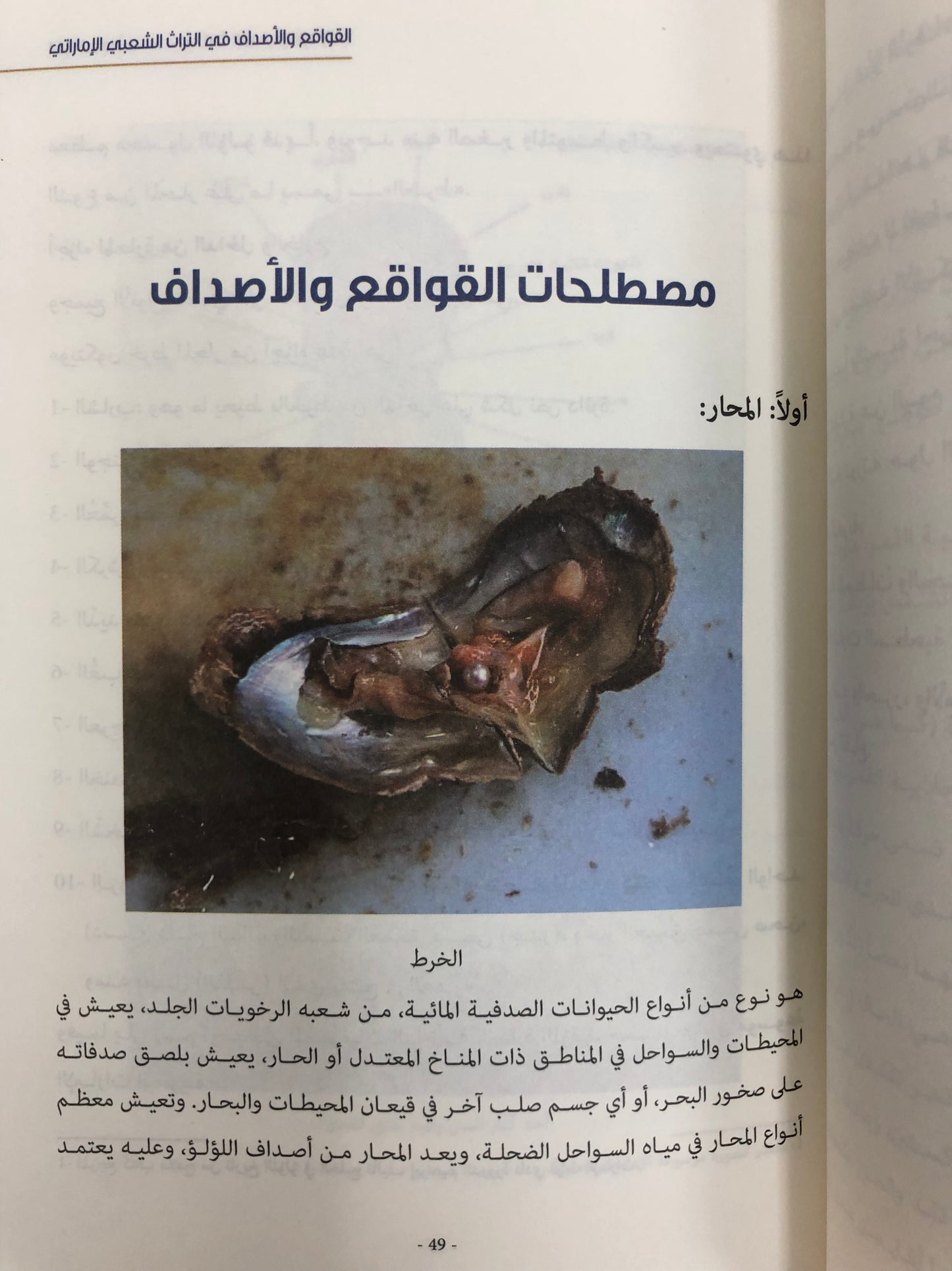 ‎القواقع والأصداف في التراث الشعبي الإماراتي