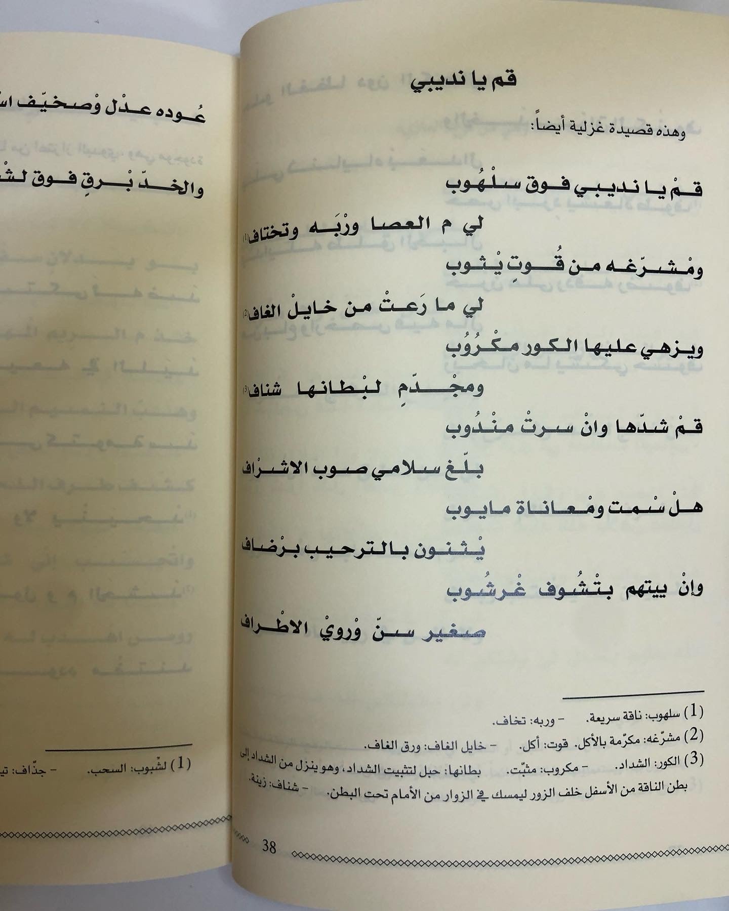 ديوان طش الروايح : للشاعر محمد بن علي الخيال الطنيجي