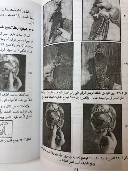 ‎الصقارة وتدريب الصقور وطرق تنفيذ مهمات الصقور
