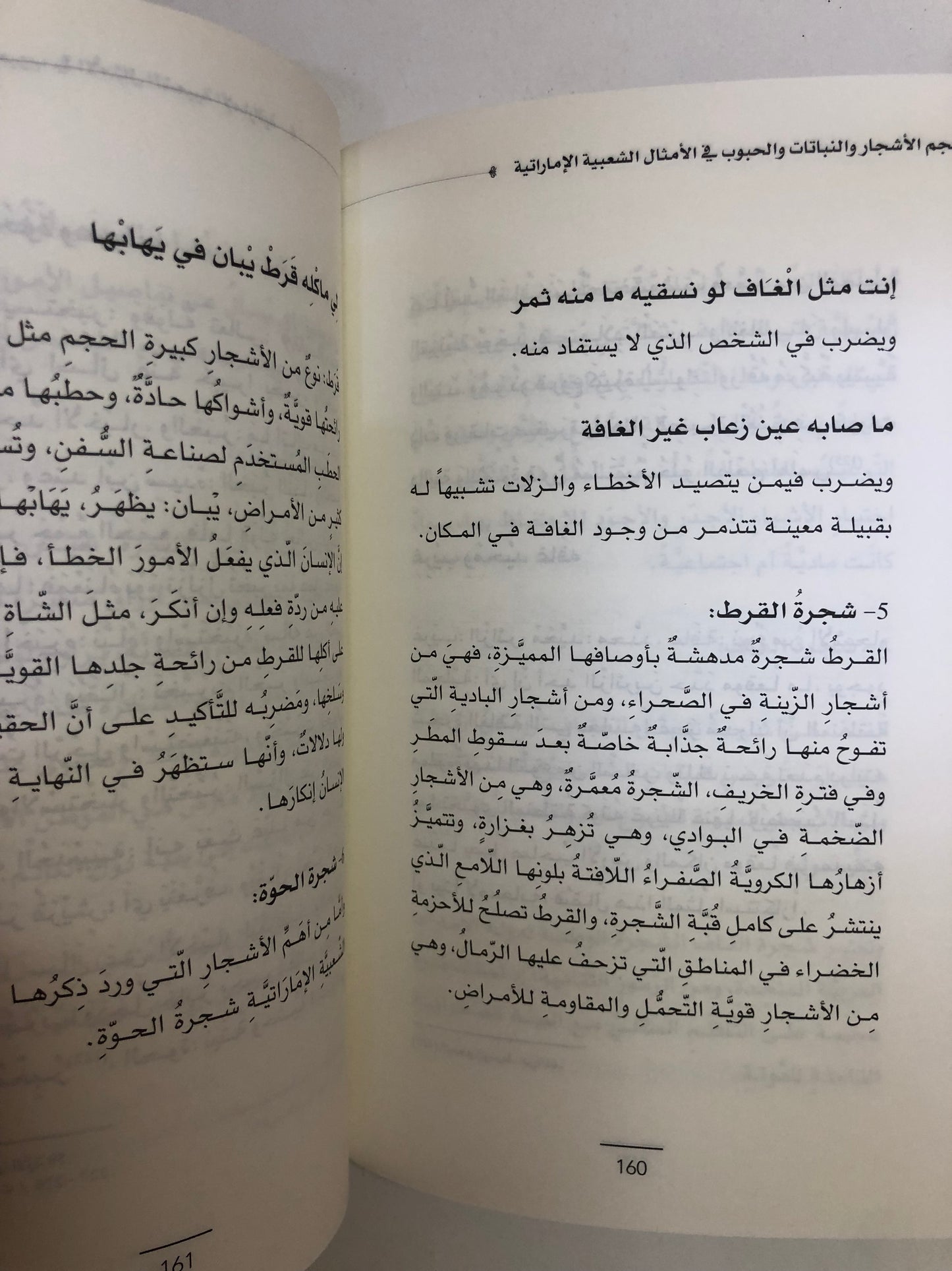 معجم الأشجار والنباتات والحبوب في الأمثال الشعبية الإماراتيه