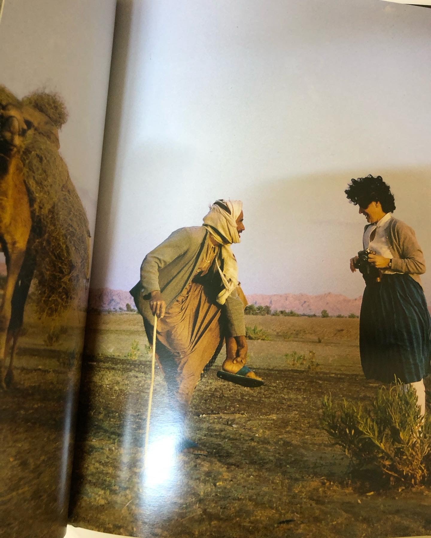 ABU DHABI: now & then كتاب مصور