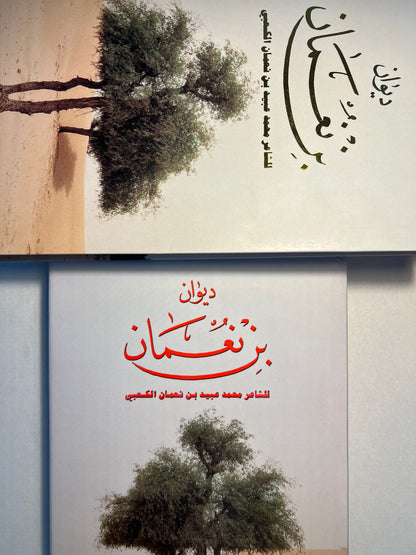 ⁨ ديوان بن نعمان الشاعر محمد بن عبيد بن نعمان الكعبي الطبعة الفاخرة / صندوق فاخر