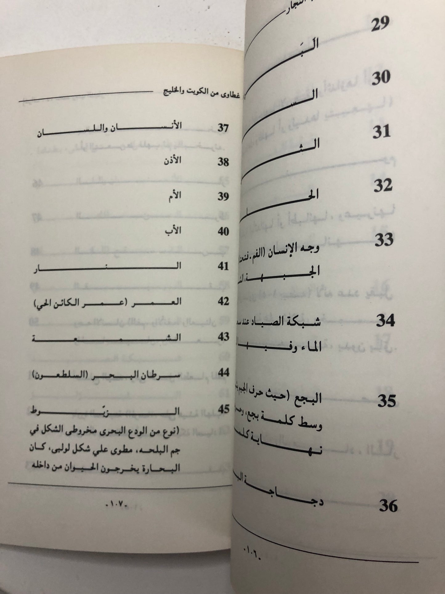 أشهر الغطاوي في الكويت والخليج 1995م