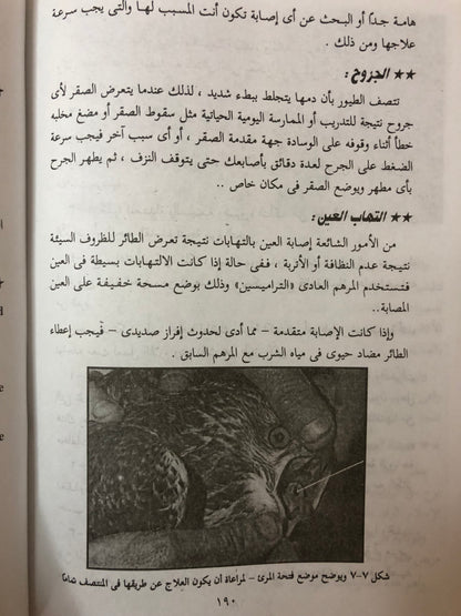 ‎الصقارة وتدريب الصقور وطرق تنفيذ مهمات الصقور