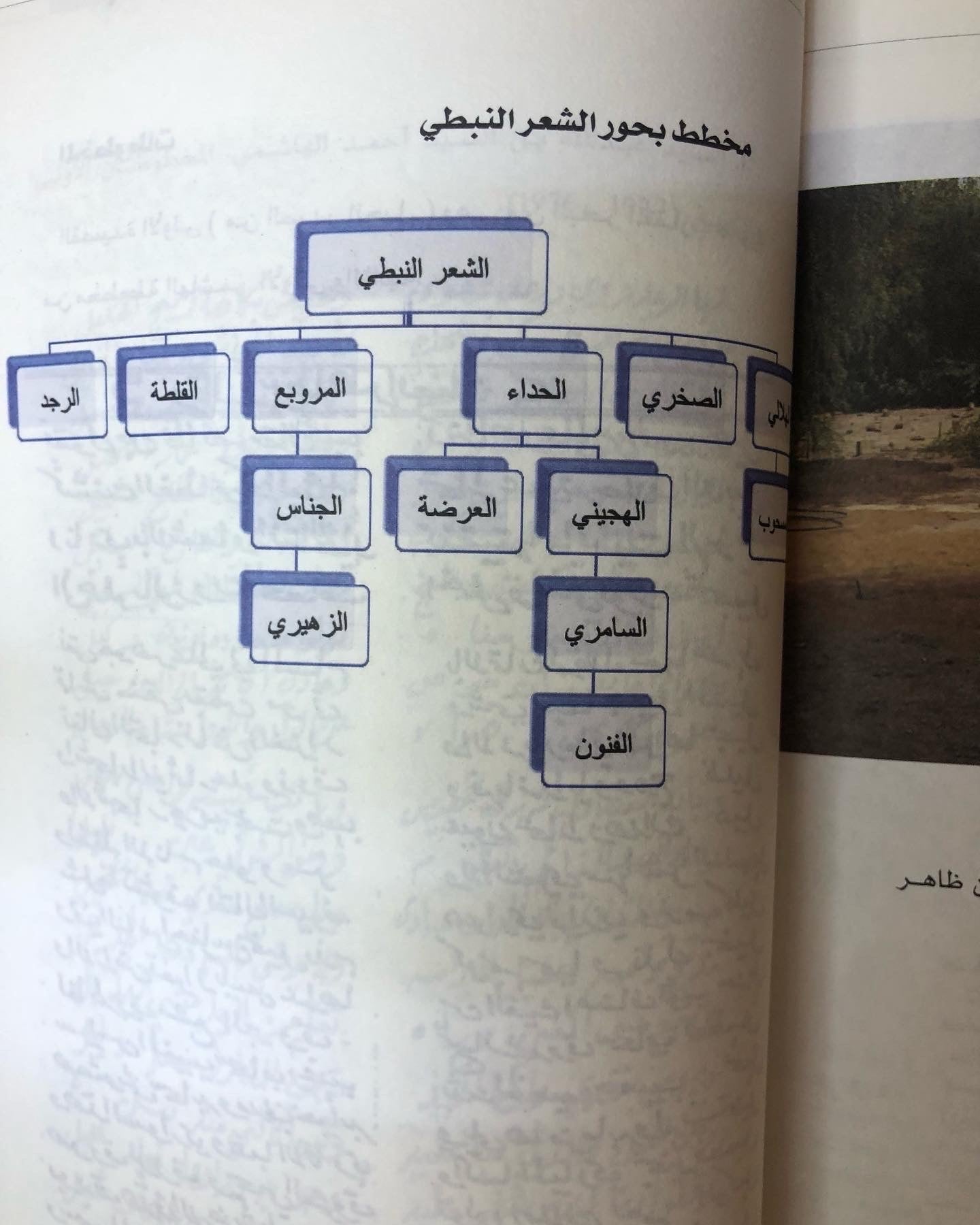 ابن ظاهر : بين بحور الشعر الفصيح والنبطي