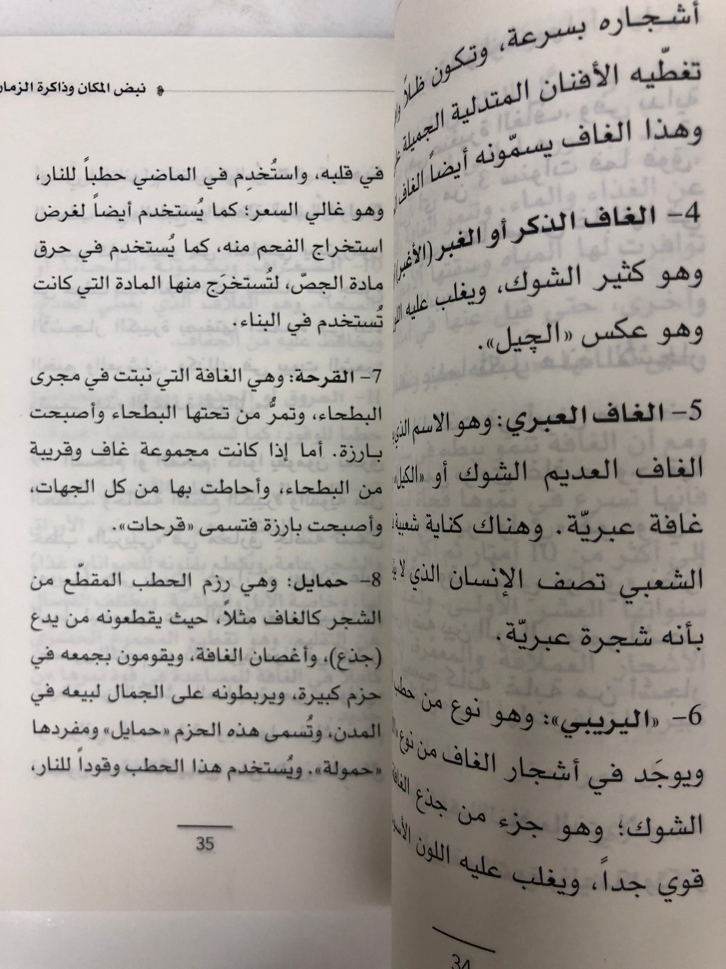 ⁨ غافات كنوغة : نبض المكان وذاكرة الزمان