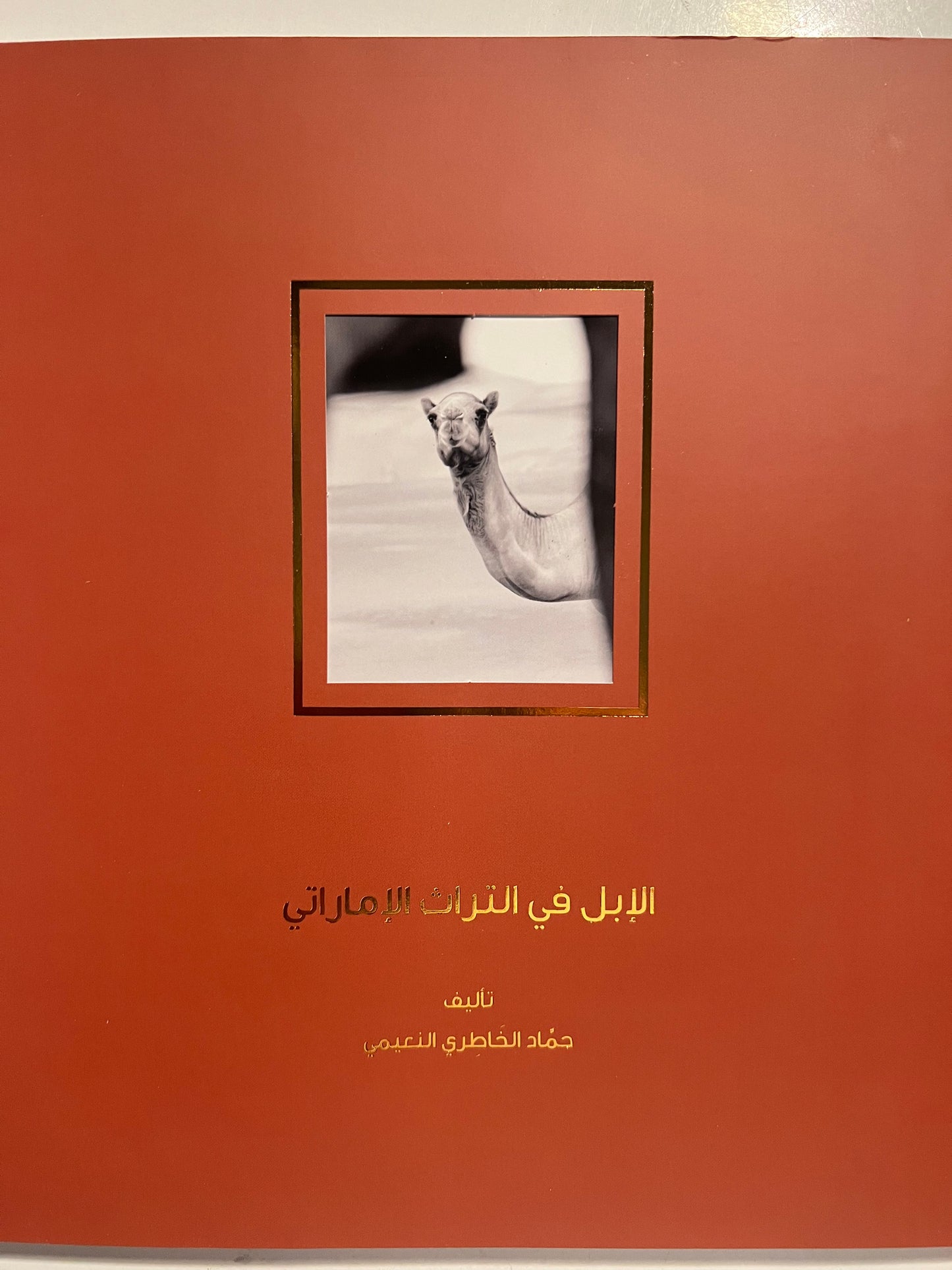 الإبل في التراث الإماراتي