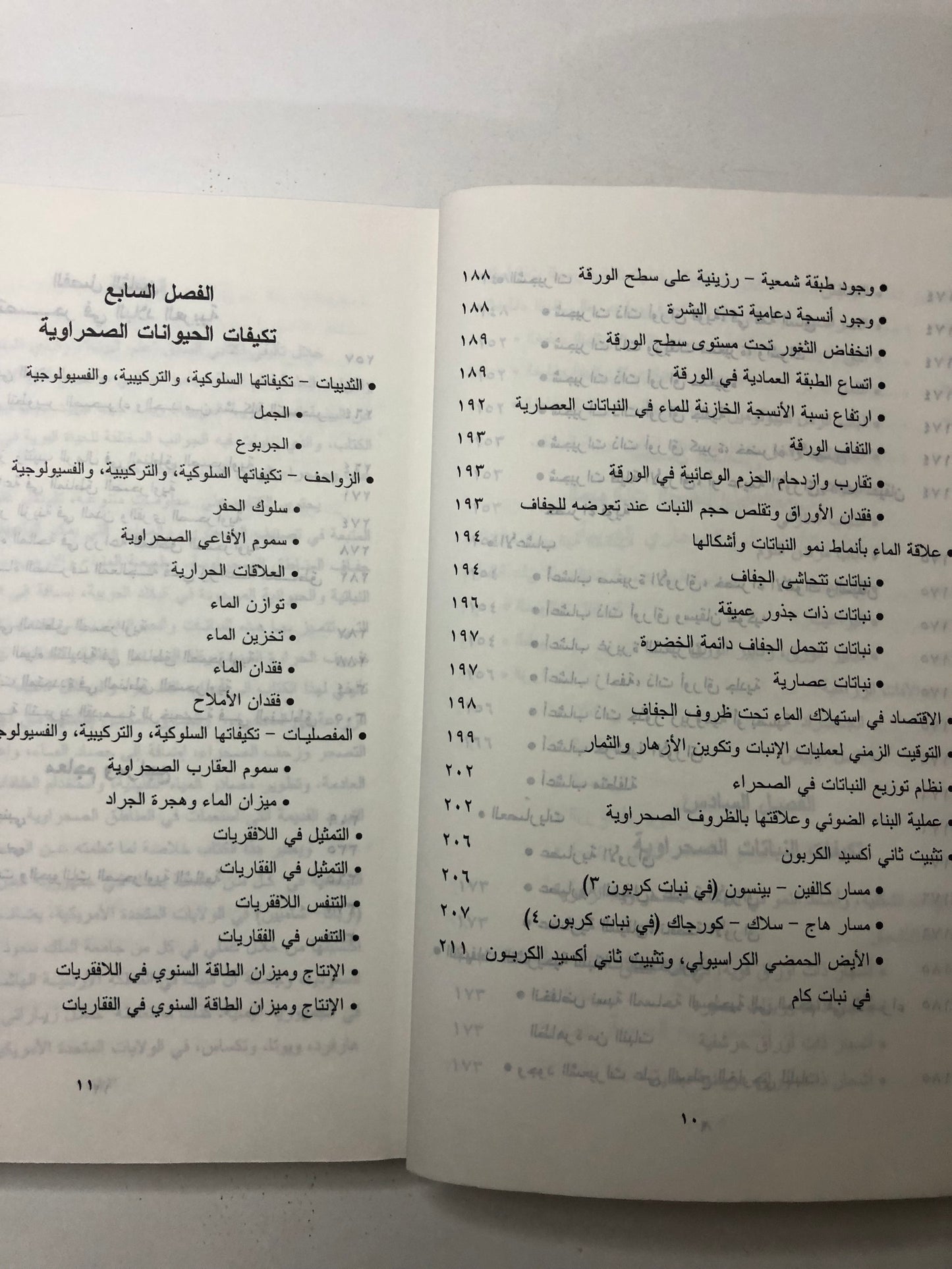 البيئة الصحراوية العربية - ختم مدرسة