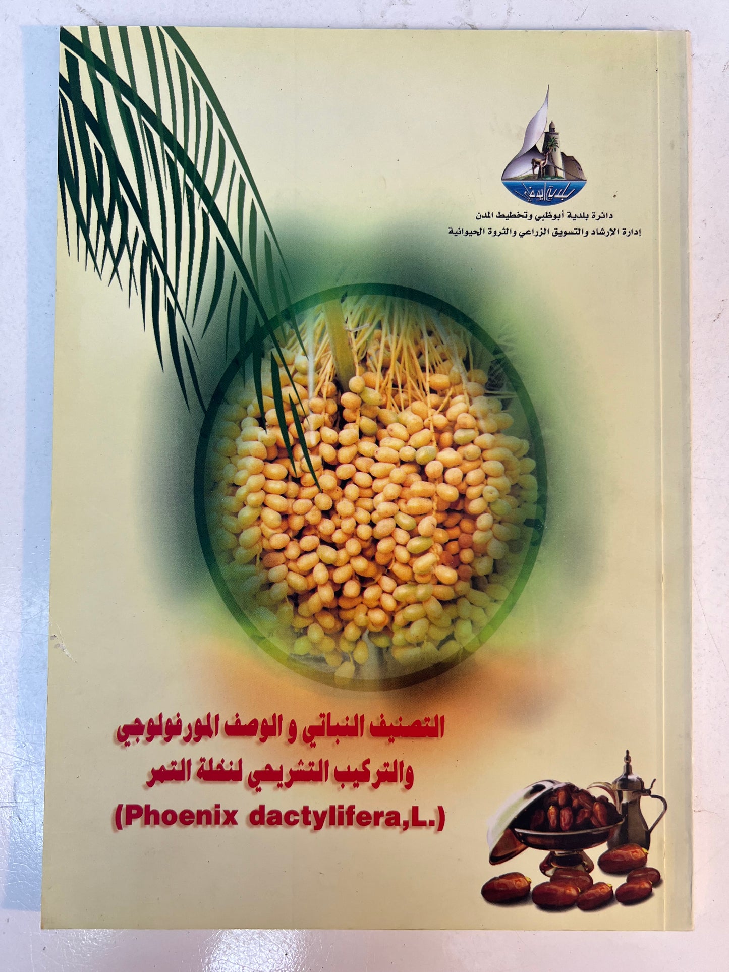 ⁨ التصنيف النباتي والوصف المورفولوجي والتركيب التشريحي لنخلة التمر