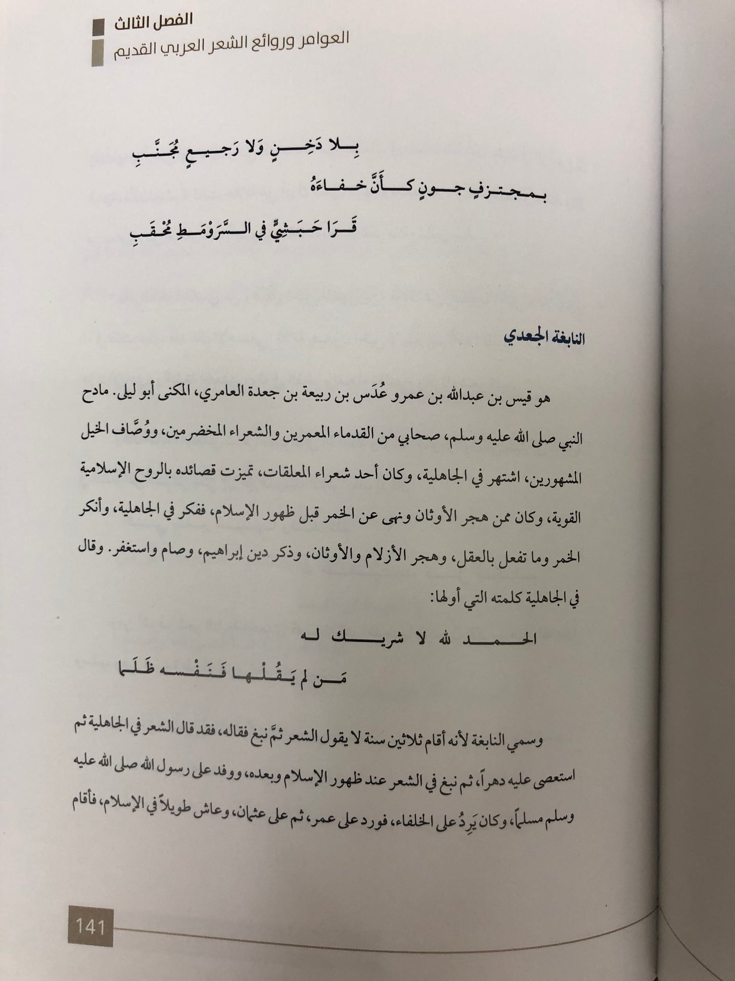 ‎قبيلة العوامر في دولة الإمارات العربية المتحدة