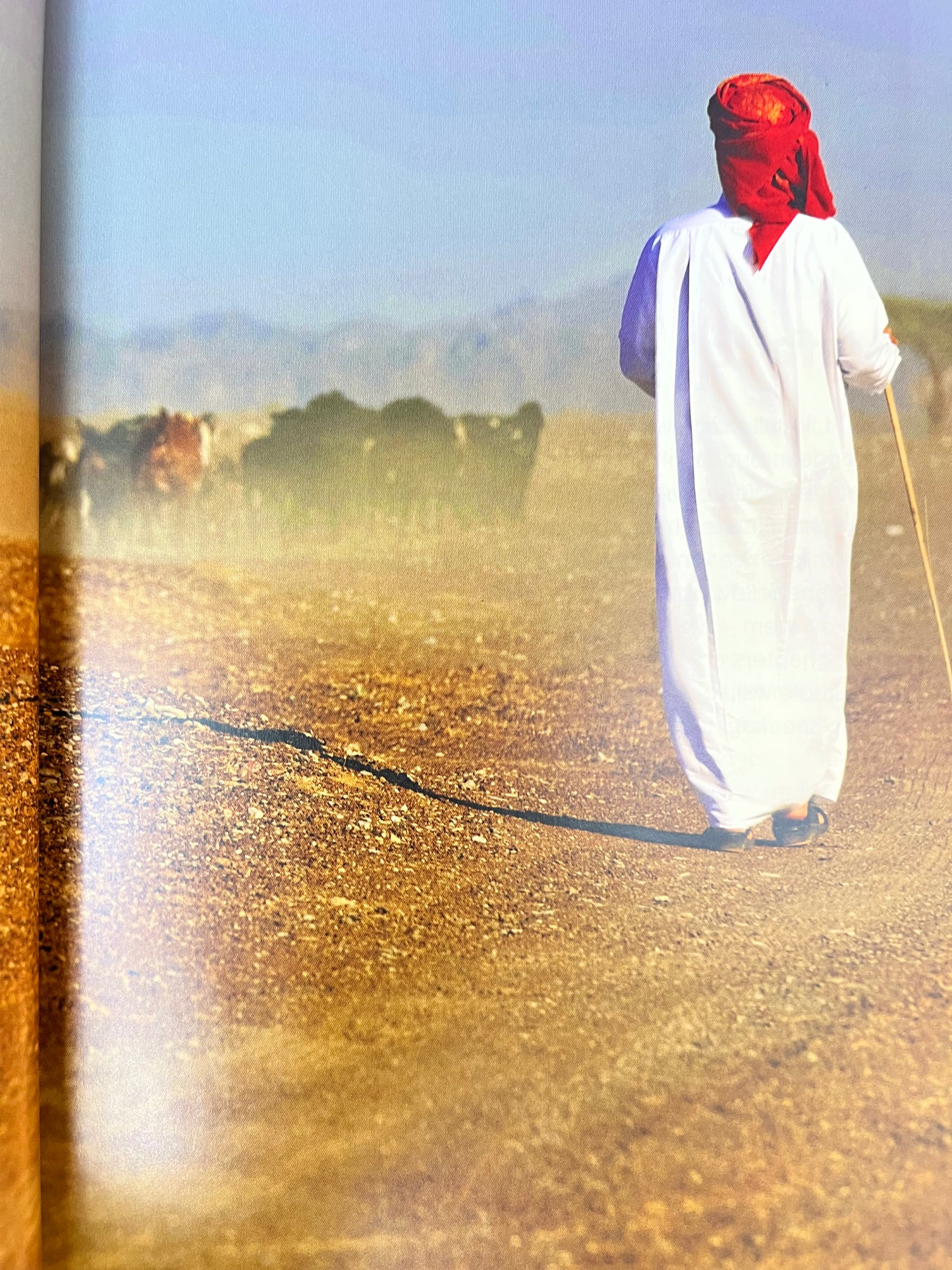 Al Mtwassf : abdullah Bin Dalmouk المتوصف   باللغة الانجليزية