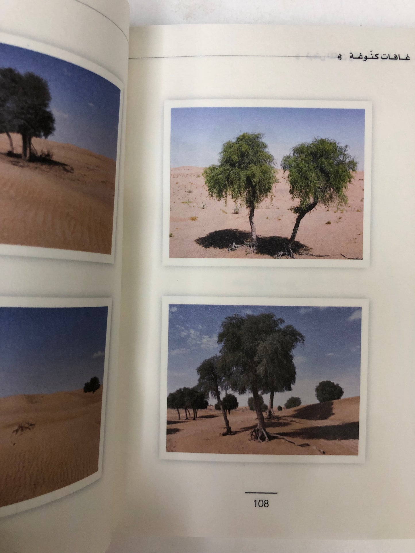 ⁨ غافات كنوغة : نبض المكان وذاكرة الزمان