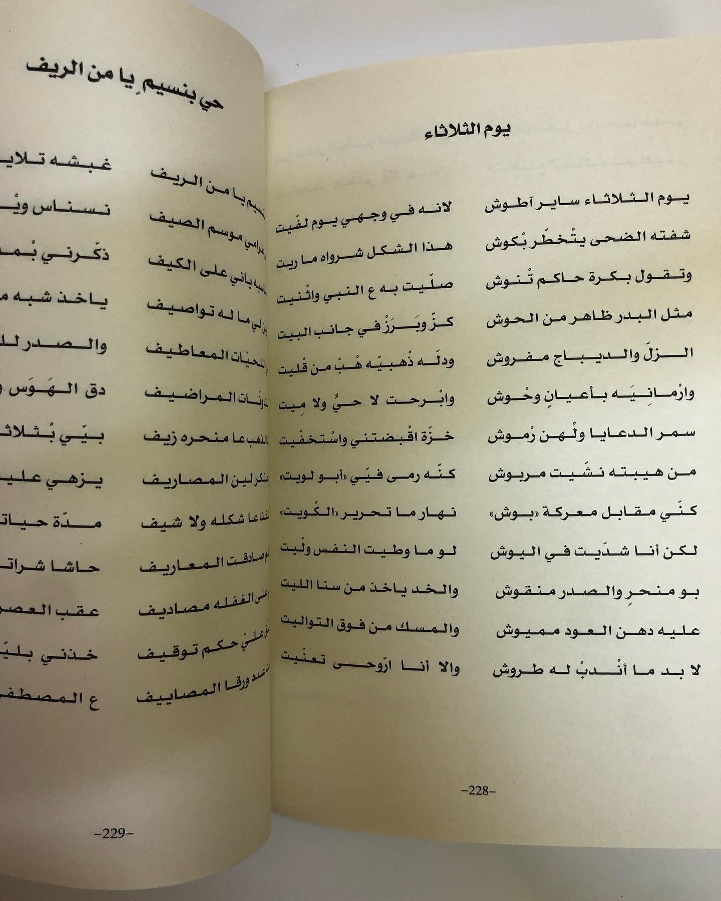 ديوان الدهماني : للشاعر سالم بن سعيد الدهماني