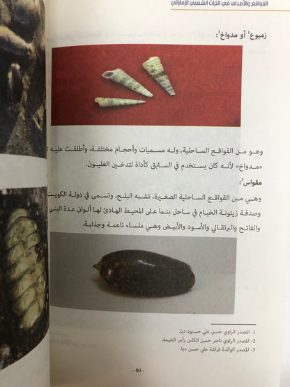‎القواقع والأصداف في التراث الشعبي الإماراتي