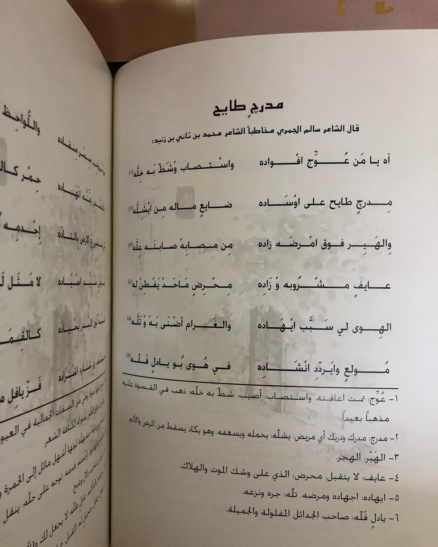 ديوان بن زنيد : محمد بن ثاني بن زنيد 
الطبعة الفاخرة /صندوق حافظ