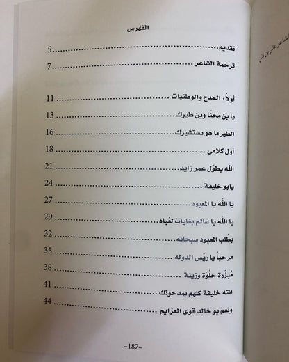 ديوان بن محنا : للشاعر محمد بن محنا بن لويع العامري / ط 2