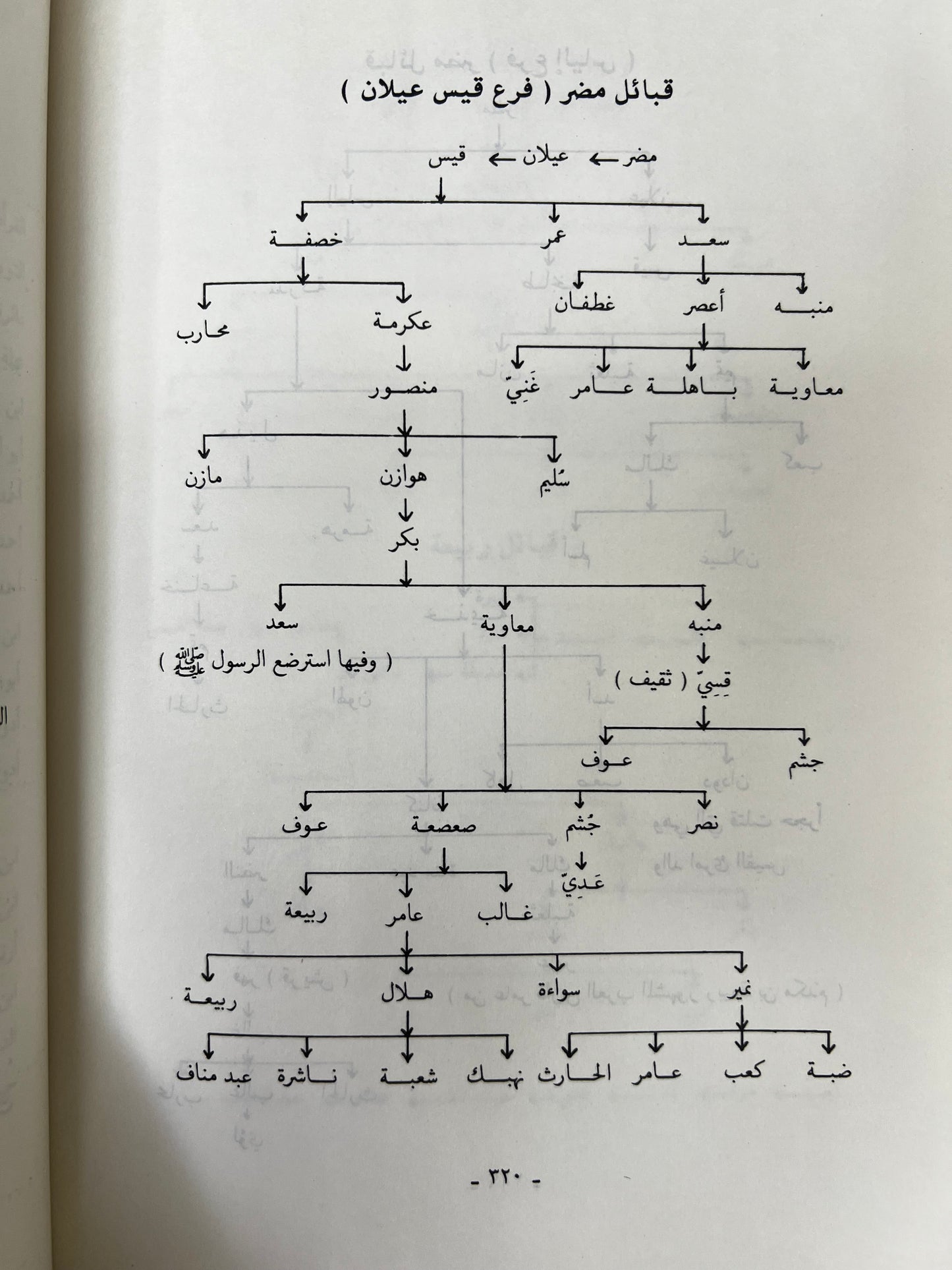 ⁨ تاريخ العرب القديم طبعة ١٩٨٨م