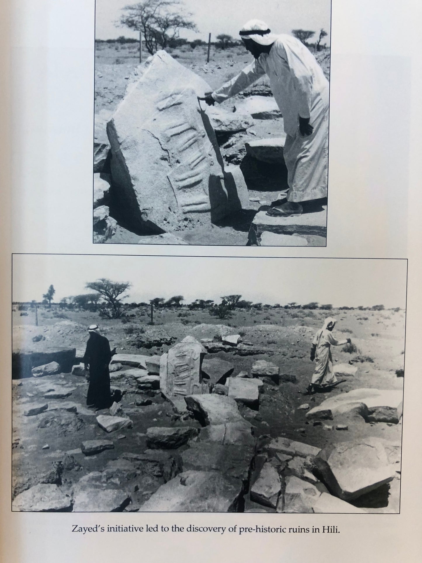 ⁨ Zayes from Challenge to Union زايد من التحدي إلى الإتحاد