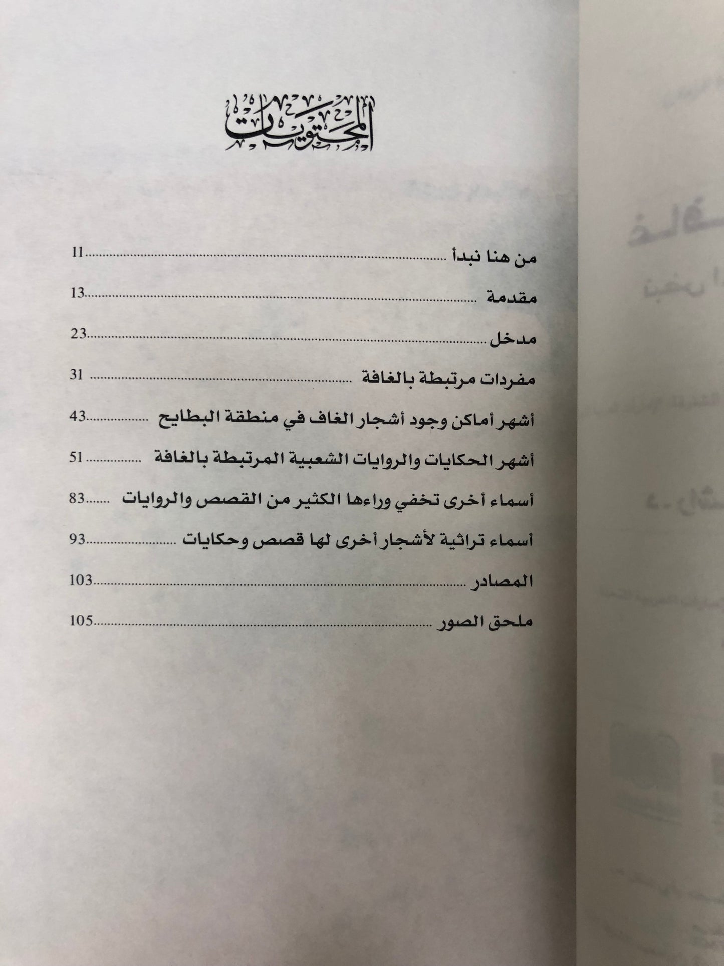 ⁨ غافات كنوغة : نبض المكان وذاكرة الزمان